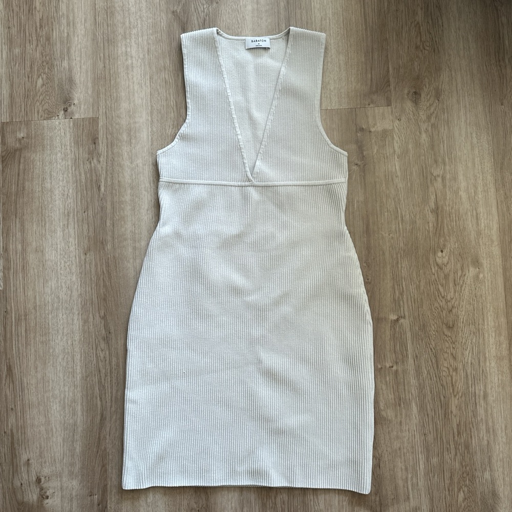 Aritzia Babaton plunge mini dress
